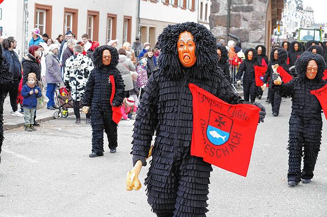 Bild 25: So schön war es am Dienstag beim großen Umzug in Villingen (Teil 4)