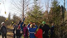 Seit zwei Jahren schmücken Mitglieder des TV-Lauftreffs den "Weihnachtsbaum" im Pfullendorfer Seepark