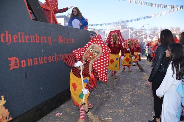 Bild 3: Bilder vom Narrentreffen der Urviecher-Zunft Bad Dürrheim: Großer Festumzug (4)