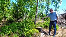 Die Errichtung der Waldweide auf der Gemarkung Häusern ist auf gutem Weg. Bürgermeister Thomas Kaiser informierte über den Stand der ...