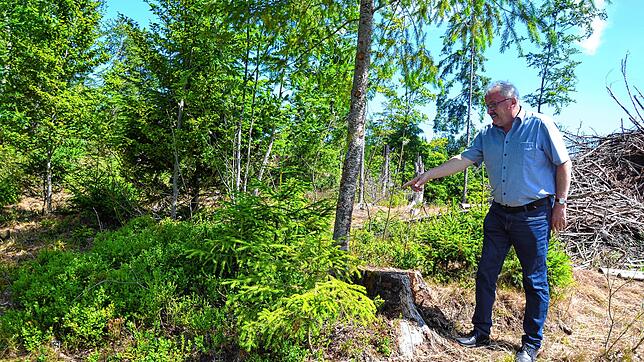 Die Errichtung der Waldweide auf der Gemarkung Häusern ist auf gutem Weg. Bürgermeister Thomas Kaiser informierte über den Stand der ...