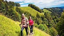 Bild : Wandern Schweiz: schönes Alpen-Panorama am Schnebelhorn - mit Karte!