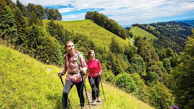 Bild : Wandern Schweiz: schönes Alpen-Panorama am Schnebelhorn - mit Karte!