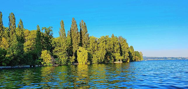 Vorbei an der Insel Mainau, aufgenommen rund 200 Meter vor dem Strand der Universität, geht es Richtung Konstanzer Trichter.