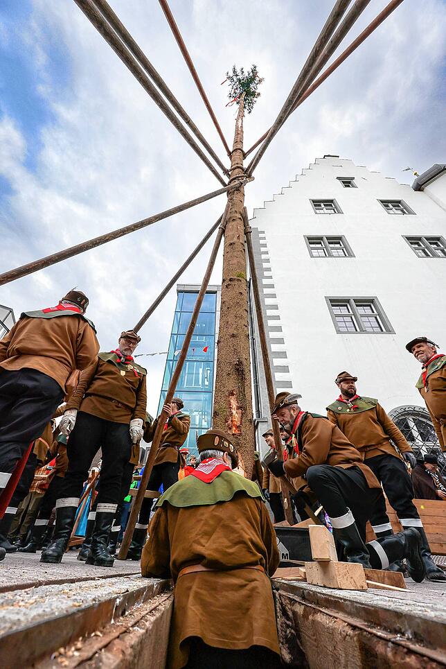 Bild 30: Narrenbaumstellen auf dem Radolfzeller Marktplatz