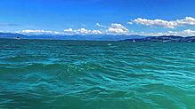 Der Bodensee und sein Farbenspiel (hier eine Aufnahme aus dem Sommer 2022) begeistern nicht nur die Menschen in der Region, sondern auch ...