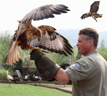 Tierische Sehenswürdigkeiten gibt es im Vogelpark Steinen.