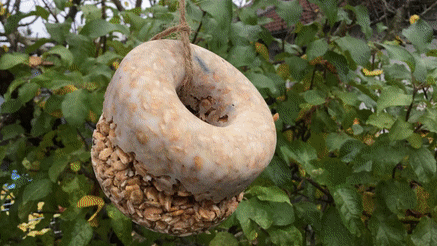 Es geht auch ohne Plastik durch den Winter: Mit Kaminanzündern aus der Natur, wiederverwertetem Geschenkpapier und selbstgemachtem ...