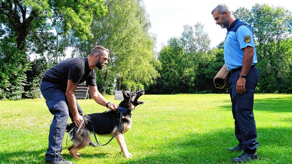 Klare Rollenverteilung: Heiko Szorg (links) gibt Rückendeckung, Schäferhündin Dakota verteidigt ihn nach vorne.