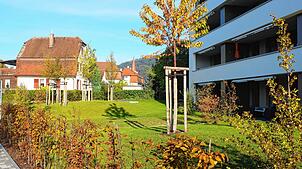 Es gibt auch Neupflanzungen in Wyhlens neuer Ortsmitte, entgegnete die Verwaltung auf Kritik. Bild: Rolf Reißmann