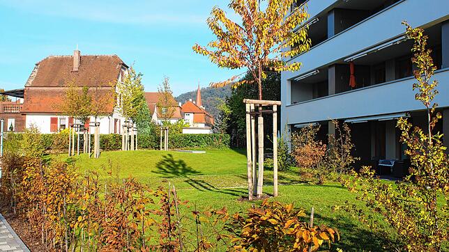 Es gibt auch Neupflanzungen in Wyhlens neuer Ortsmitte, entgegnete die Verwaltung auf Kritik. Bild: Rolf Reißmann