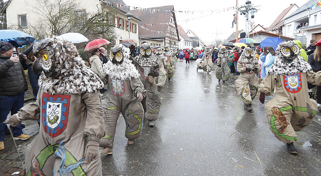 Bild 11: Bilder zum großen Narrentreffen in Pfohren (1)