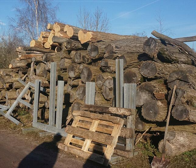 Das Holzlager auf dem Baubetriebshof: Aus den Robinien ganz oben werden Spielgeräte für städtische Kindergärten und Spielplätze gebaut.