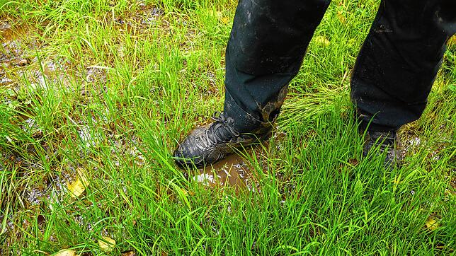 Fast flächendeckend ist die Wiese mit Wasserpfützen bedeckt. An Campen ist im Moment kaum zu denken.