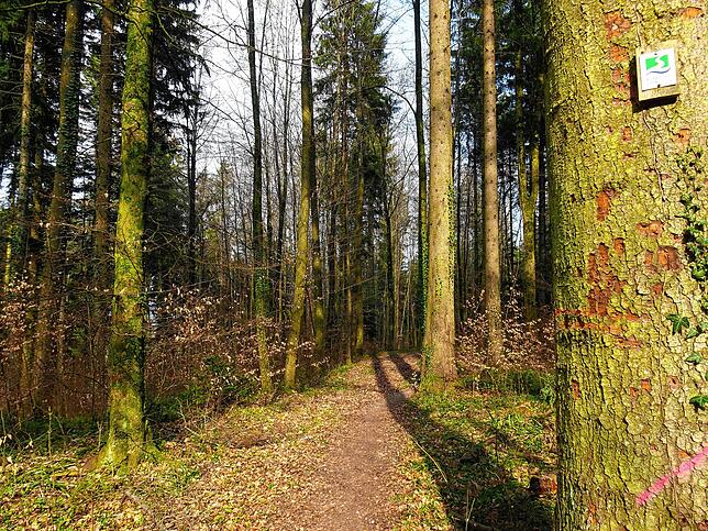 Premiumwanderwege führen in erster Linie über Pfade und Fußwege statt über Verbunddecken und sind bestens ausgeschildert.