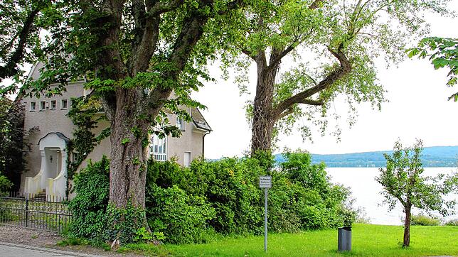 Die Villa Sernatinger steht in der Mettnaustraße direkt am Seeufer. Das Gebäude hat eine attraktive Lage, ist jedoch ...