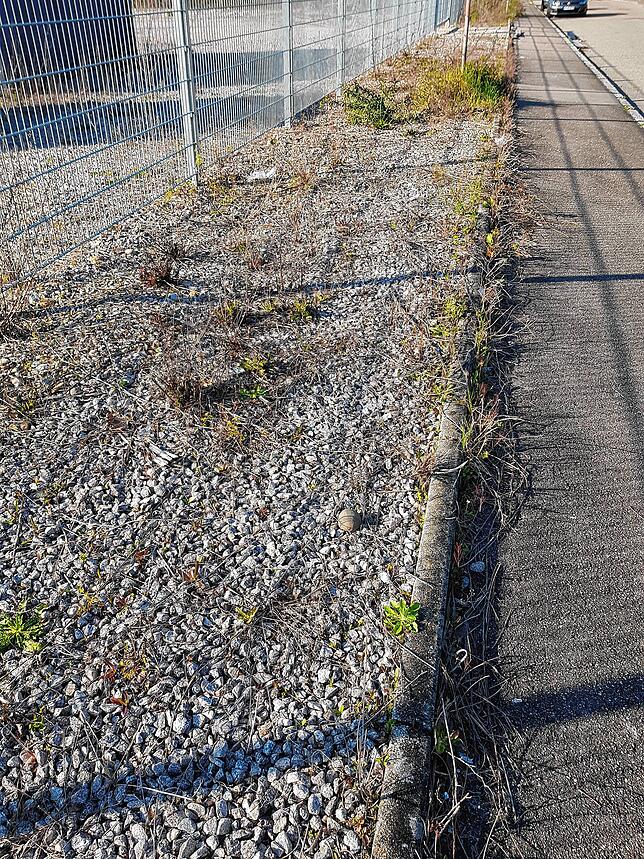 Kein schöner Anblick sind die Schotterhalden, hier ein Beispiel aus dem Bad Säckinger Gewerbegebiet Langfuhren.