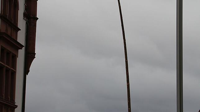 Der Narrenbaum wogte bei dem stürmischen Wind hin und her.