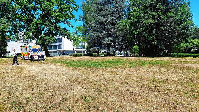 Hinter dem Kiosk an der Mainaustraße, neben dem Klinikum Konstanz, ist noch Platz. Das Gründstück der Spitalstiftung soll in Erbpacht an ...