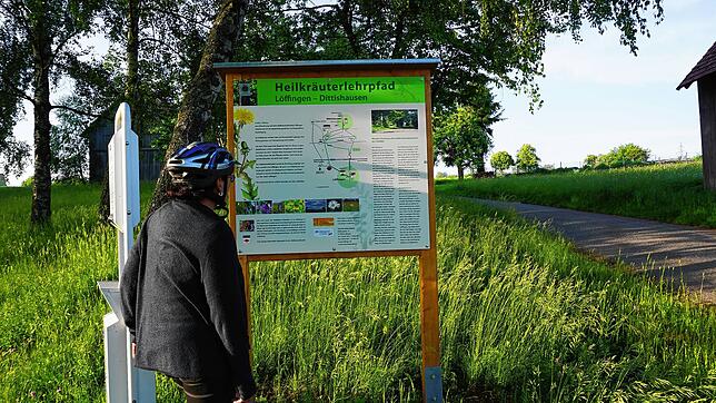 Große Schautafeln weisen auf die Heilkräuter, deren Aussehen, Merkmale und auch Anwendungen hin. Bild: Silvia Bächle
