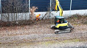 Alles kam raus, Brombeeren, junge Bäume und Büsche. Entstanden ist ein glattes freies Areal auf dem Bahngelände am Hornacker. Bild: Rolf ...