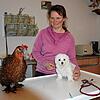 Aufs Huhn und auf den Hund gekommen sind viele Menschen während der Pandemie, wie Tierärztin Angelika Bernhardt-Welte aus ...