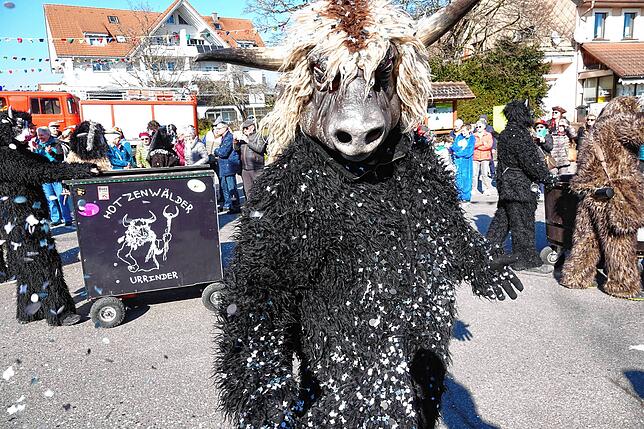 Bild 25: Alle Bilder vom Fasnachtsumzug 2025 in Görwihl