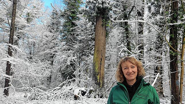 Karin Beer, Forstoberinspektorin der Stadt Friedrichshafen, vor einem Baumtorso.