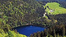 Der Feldsee am Fuße des Feldbergs im Schwarzwald.