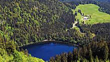 Der Feldsee am Fuße des Feldbergs im Schwarzwald.