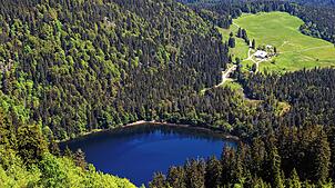 Der Feldsee am Fuße des Feldbergs im Schwarzwald.