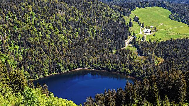 Der Feldsee am Fuße des Feldbergs im Schwarzwald.