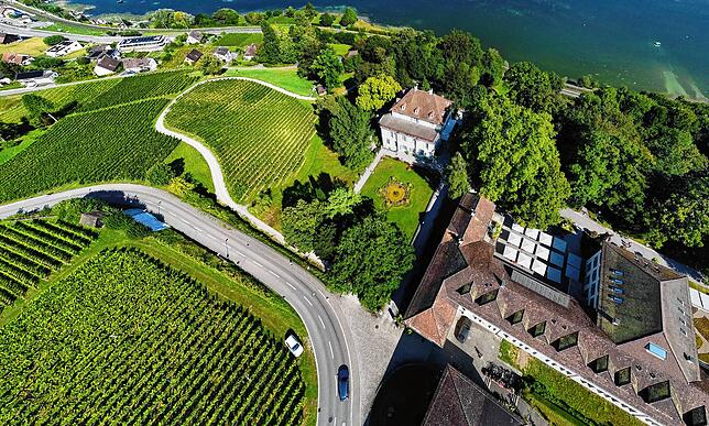 Bild 6: Schloss Arenenberg in der Schweiz: Rundgang in Bildern