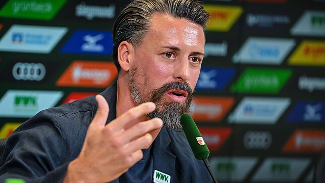 Sandro Wagner äußerte sich auch zur Wechsel-Wende um Stuttgarts Nick Woltemade. (Archivbild)
