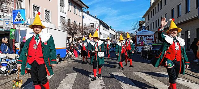 Bild 21: Die besten Fotos vom Fasnetsumzug in Tiengen