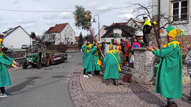 Elf Meter und elf Zentimeter misst der Ewattinger Narrenbaum in diesem Jahr &ndash; eine Besonderheit. Bild: Gertrud Rittner
