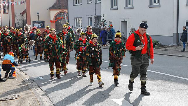 Bild 20: Seenarrentreffen in Dettingen: Auf dem Dorfplatz steht jetzt der Narrenbaum