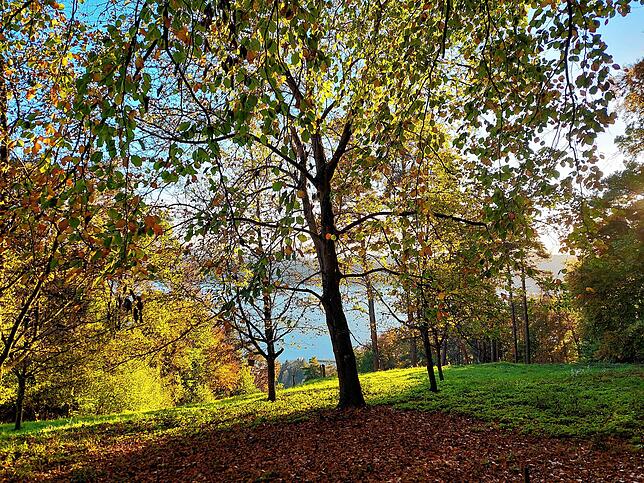 Bild 6: Hallo Herbst! Noch mehr tolle Fotos unserer Leser