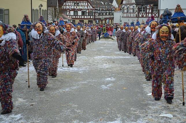 Bild 41: Eigeltinger Narrentage: Der Sonntagsumzug in Bildern (4)