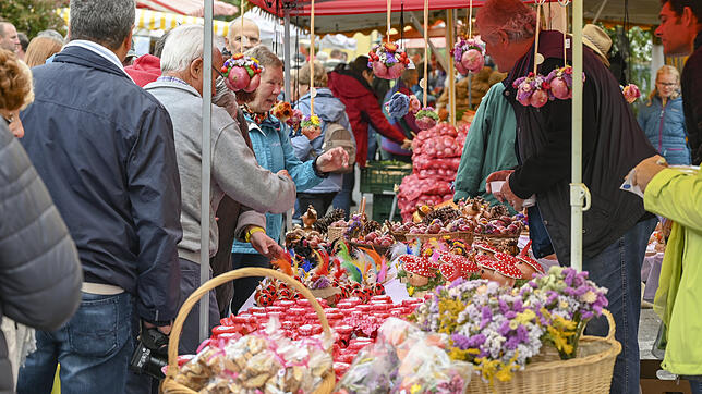 Starkes Interesse: Tausende Besucher kamen zu den rund 40 Ständen beim 44. Büllefest.