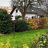 Die Vogelhäuschen im Hertener Garten bleiben zurzeit leer. Bild: Dora Schöls
