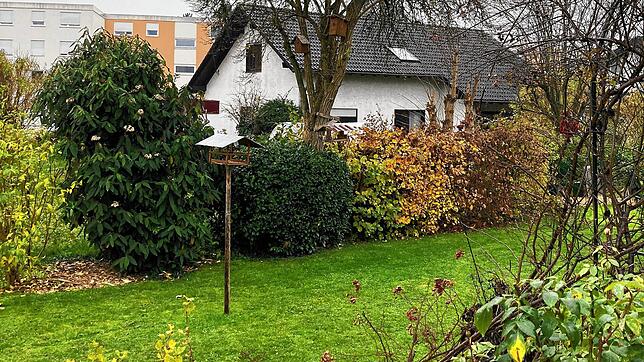 Die Vogelhäuschen im Hertener Garten bleiben zurzeit leer. Bild: Dora Schöls