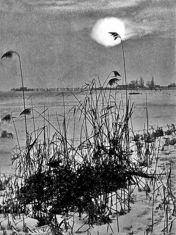 Bild 7: Diese Foto-Schätze von der Seegfrörne 1963 schlummern in Familienalben