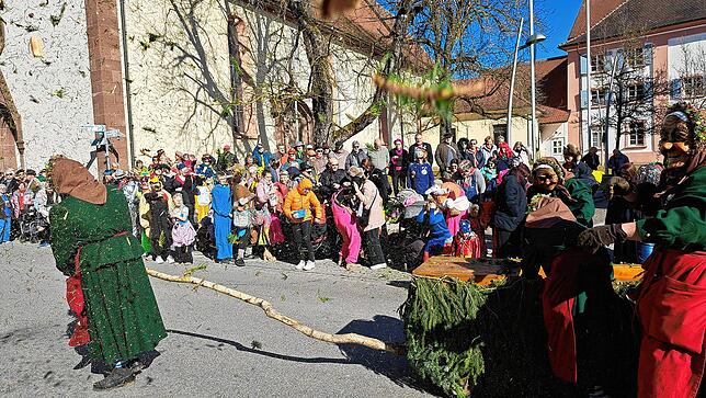 Bild 6: Fasnet 2025: Die besten Bilder vom Umzug in Hüfingen