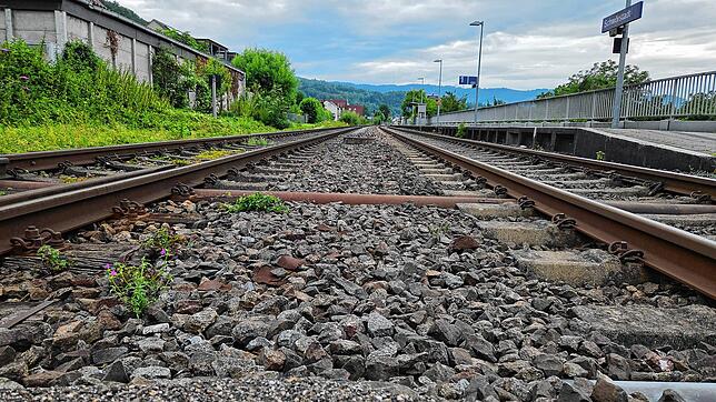 Die Bahn erneuert vom 9. August bis 7. September Gleise und Weichen auf der Hochrheinstrecke zwischen Rheinfelden und Waldshut (hier ...