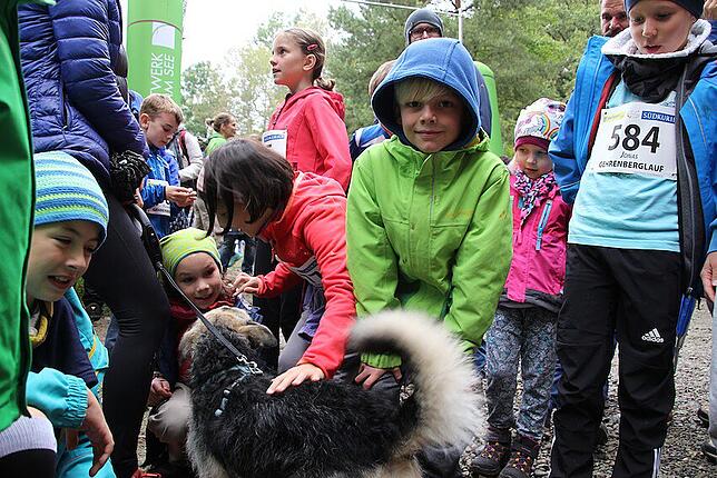 Bild 14: Bilder zum Kinderlauf des Gehrenberglaufs in Markdorf