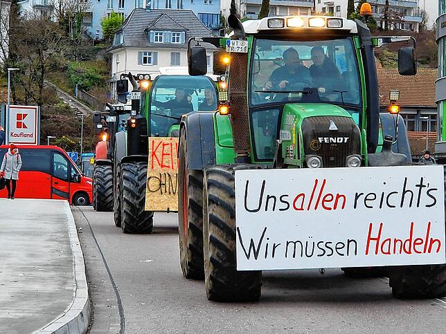 Bild 18: Protest der Landwirte &ndash; Bilder der Sternfahrt nach Horheim am Montag