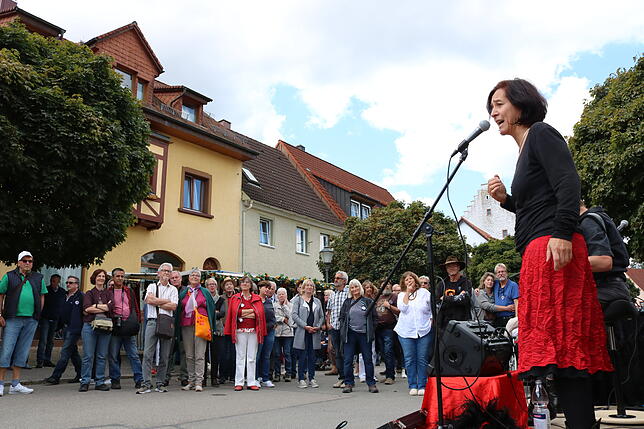 Bild 14: Bilder vom Straßenmusiksonntag: In Bräunlingen ist am Nachmittag kein Durchkommen
