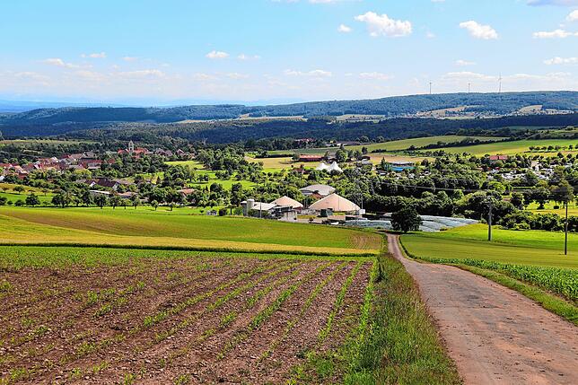 Tengen im Hegau: Am Horizont steht der Windpark Verenafohren, unterhalb der Feldes eine der beiden Biogas-Anlagen.