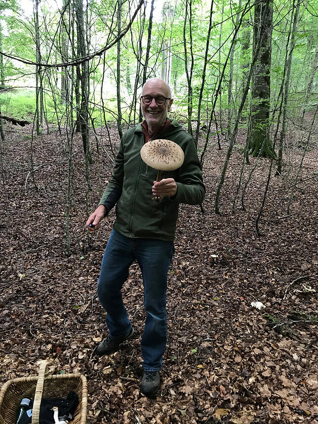 Genießbarer Riese: Der Parasol wird gerne paniert, gebraten und als Schnitzel verspeist, weiß Willy Müller.